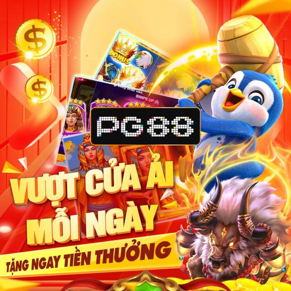 Hướng dẫn truy cập và sử dụng dịch vụ trên sbobet.com